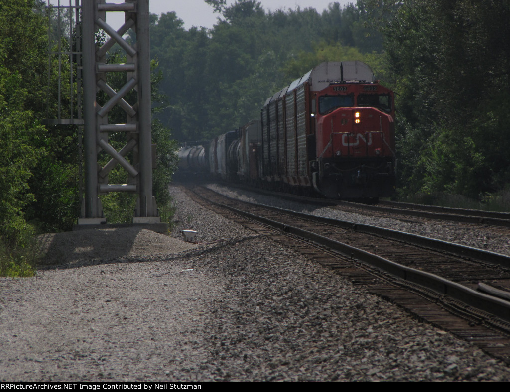 CN 5602